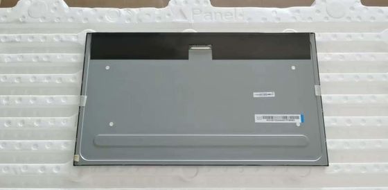 購入 19.5