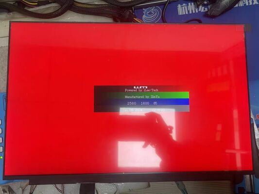 良い価格 BOE 16インチ LCDディスプレイパネル NE160QDM-NY1 (2560x1600ピクセル、500cd/m2輝度、165Hzリフレッシュレート) オンライン